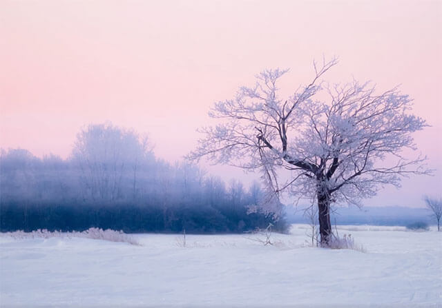 Картинка Зима Природа Фото