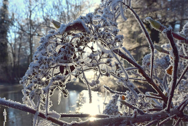 Необычная Зима Фото