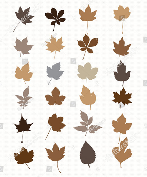 24 Autumn Leaves in 2 Colors